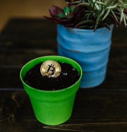 Вывод средств на банковскую карту через CoinEx безопасно и просто