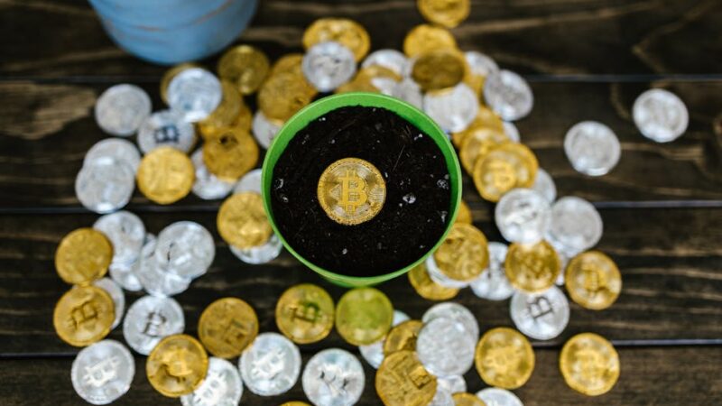 Вывод денег на карту с CoinEx с максимальной прозрачностью