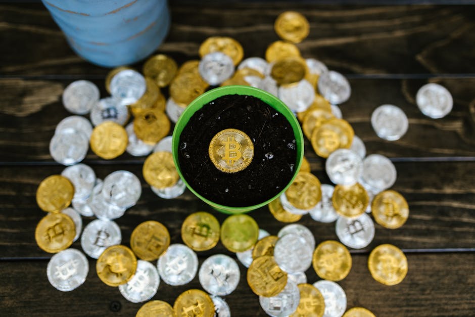 Вывод денег на карту с CoinEx с максимальной прозрачностью