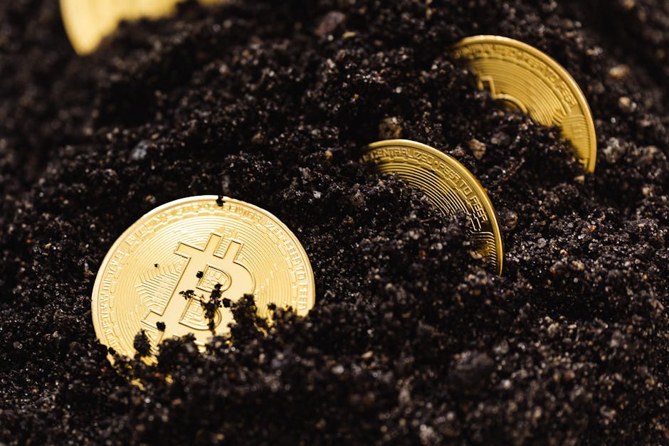 Вывод средств с CoinEx на карту СберИнвестБанка