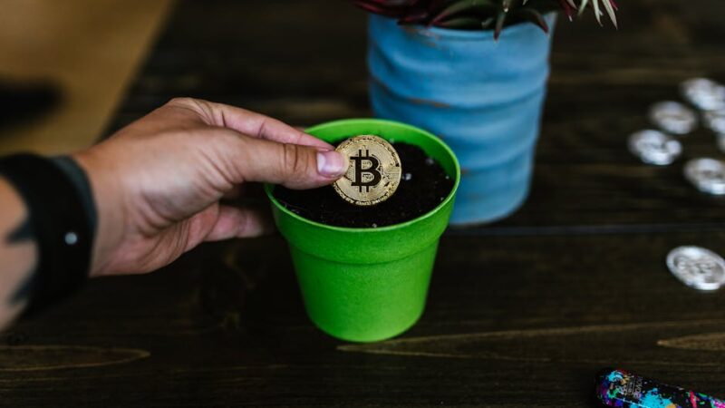 Вывод средств с CoinEx на карту с минимальной волатильностью