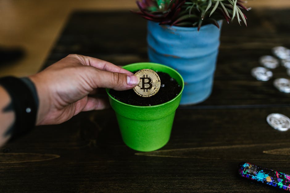 Вывод средств с CoinEx на карту с минимальной волатильностью