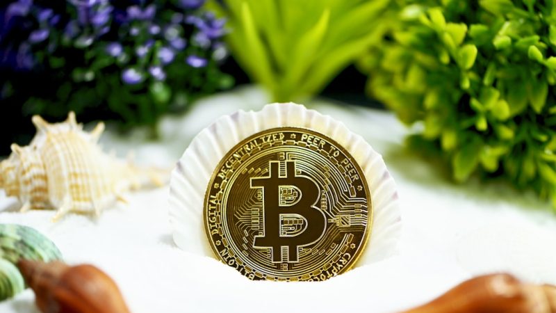 Вывод денег из CoinEx пошаговая инструкция и комиссии