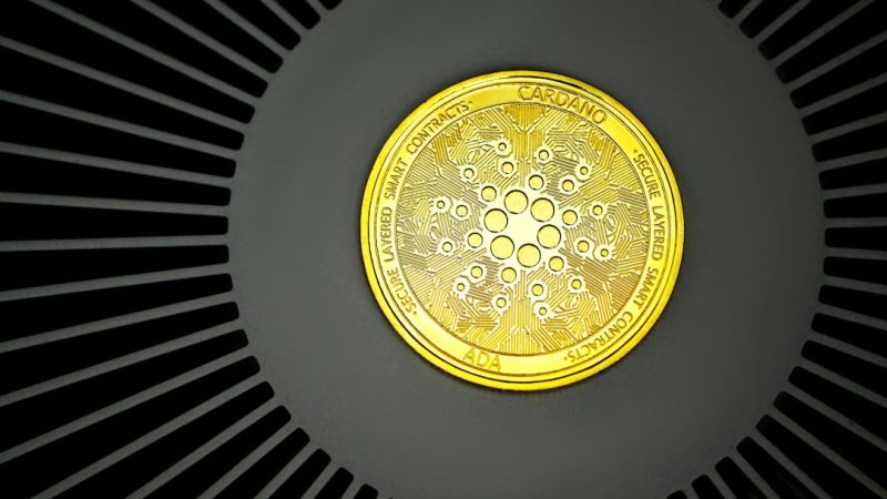 Обзор криптовалютной биржи CoinEx